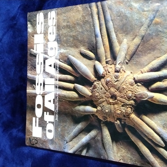 Home Book Fossils of all Ages over 150 magnificent full page color photographs. - Picture 1 of 4